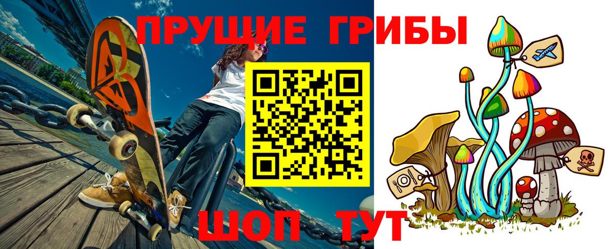 Галлюциногенные грибы прущие грибы  Вход с VPN  Сокол 