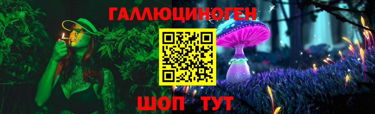 Галлюциногенные грибы Psilocybine cubensis Сокол